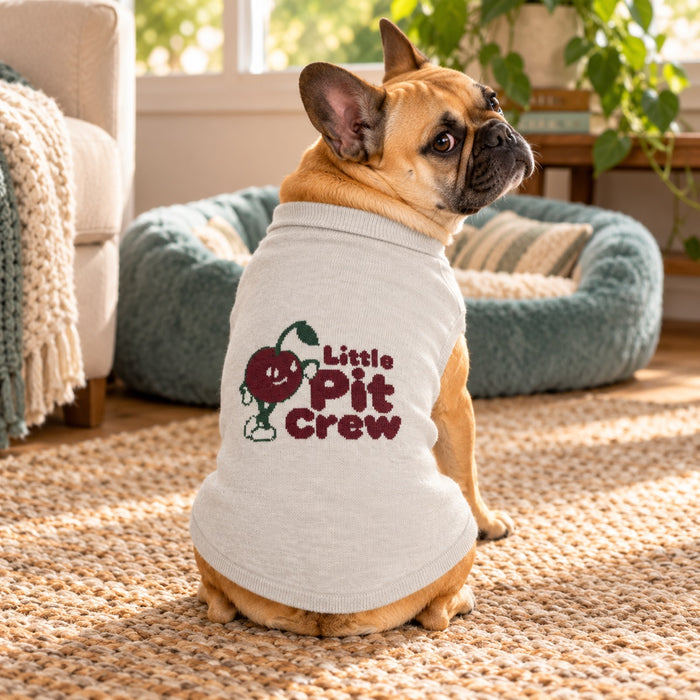 Little Pit Crew Bone knit sweater worn by a tan dog beside its soft blue bed