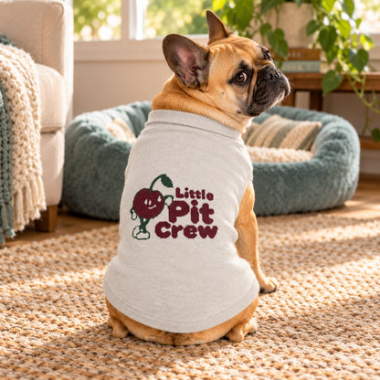 Little Pit Crew Bone knit sweater worn by a tan dog beside its soft blue bed